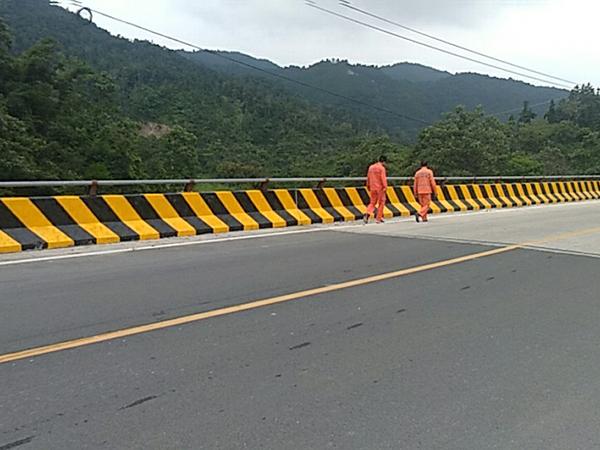 Bridge reflective paint